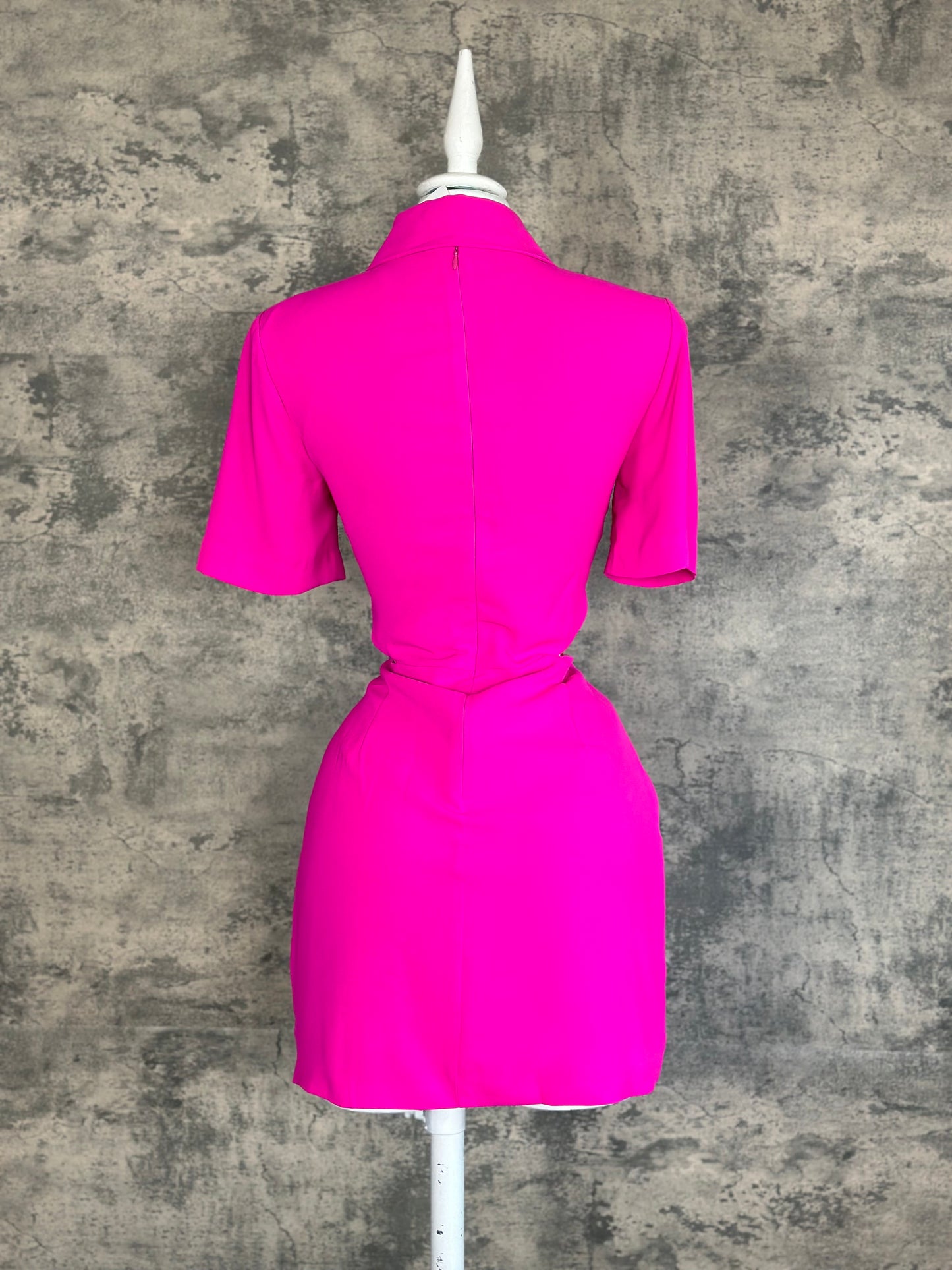 Fuchsia Dress