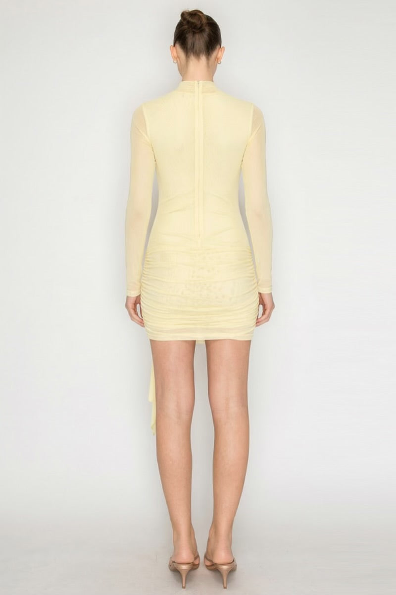 Long Sleeve Mesh Mini Dress