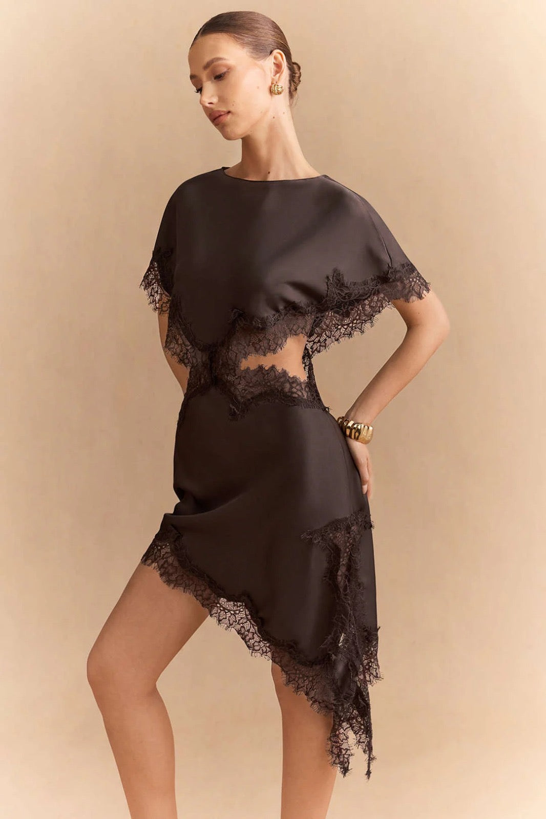 Brown Satin Dress